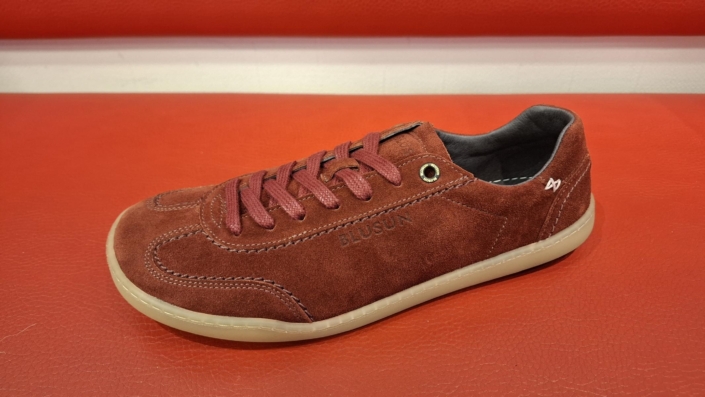 BluSun 220 rust 149,- €