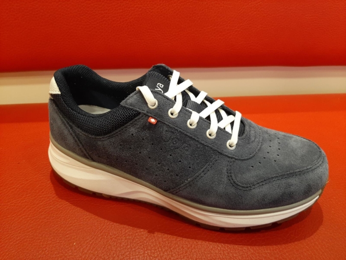 Joya Dynamo Classic 189,-€