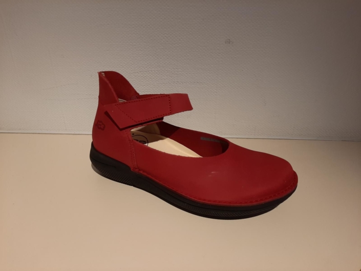 Loints of Holland Froombosch 145,-€